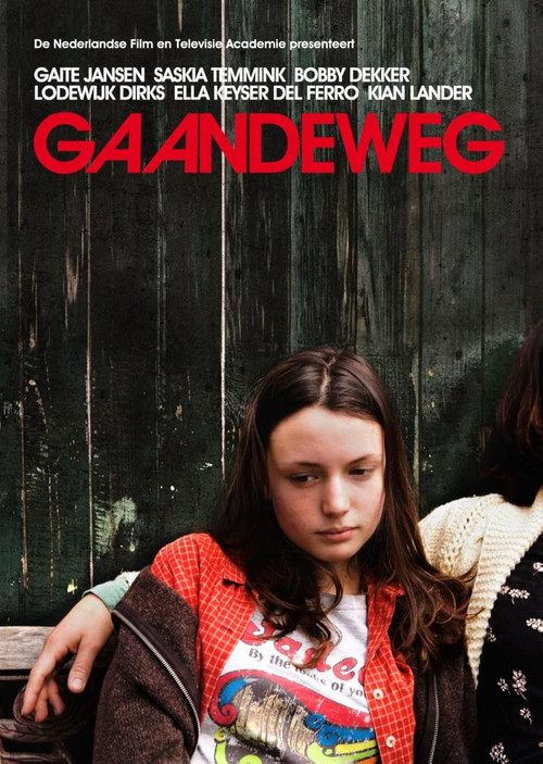 Gaandeweg (2008) poster