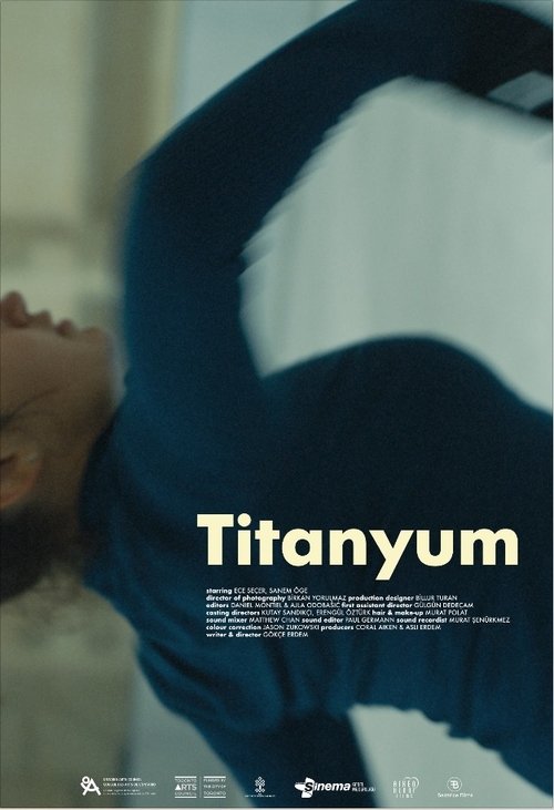 Titanium (2018) poster