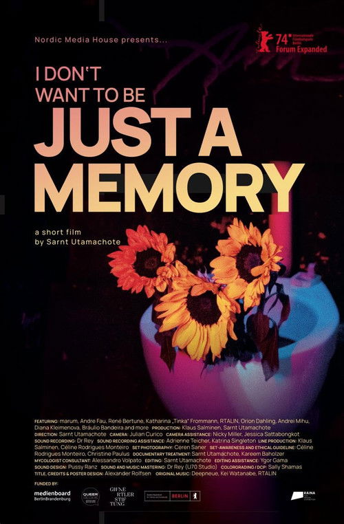 I Don’t Want to Be Just a Memory (2024) poster