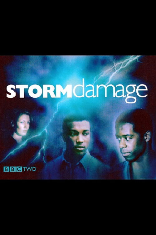 Storm Damage (2000) poster