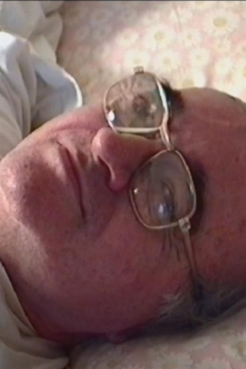 La spiaggia. Ritratto di Giordano Falzoni (2004) poster