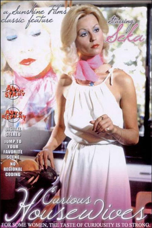 Curious Housewives (2005) poster