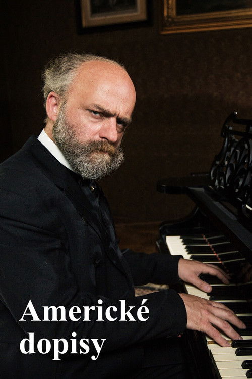 Americké dopisy (2015) poster