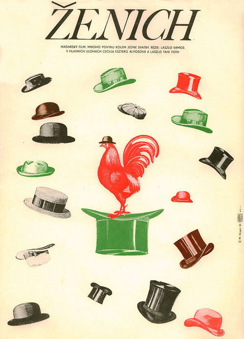 Vőlegény (1981) poster