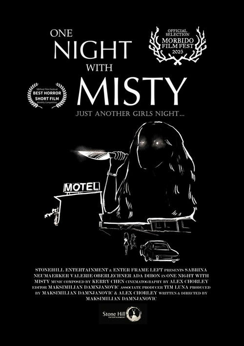 One Night with Misty (2025) poster
