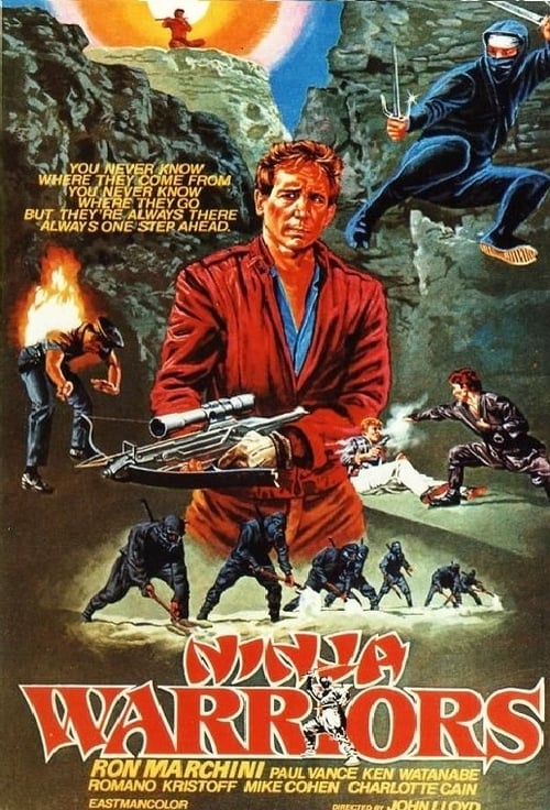 Ninja Warriors (1985) poster