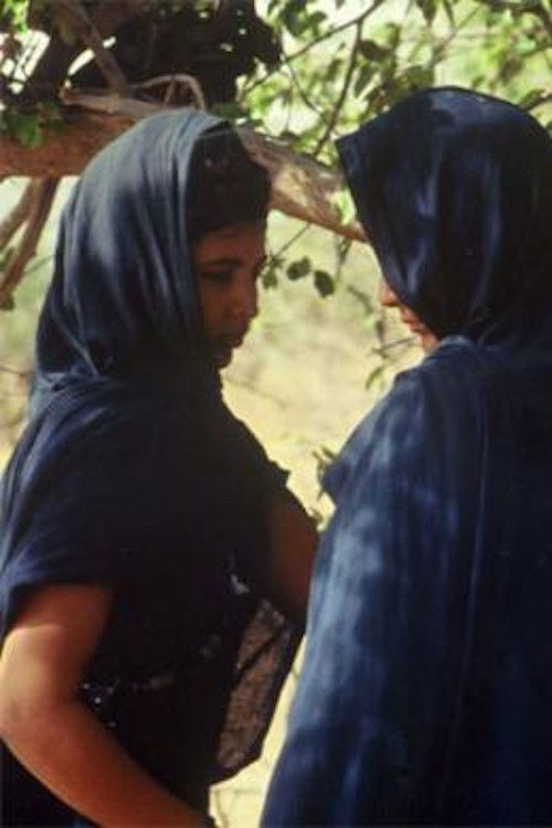 Nemadis, the Years Without News (2000) poster