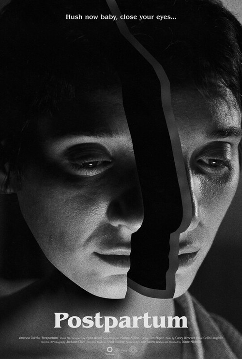 Postpartum (2023) poster