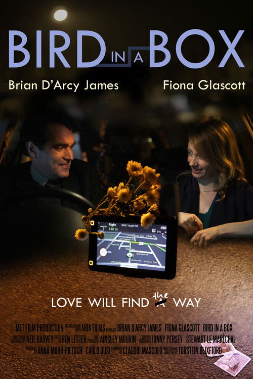 Bird in a Box (2012) poster