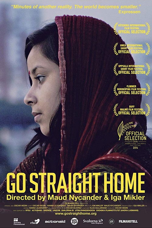 Go Straight Home (2013) poster
