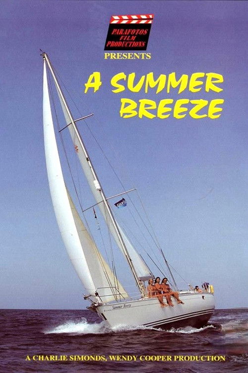 A Summer Breeze (1999) poster