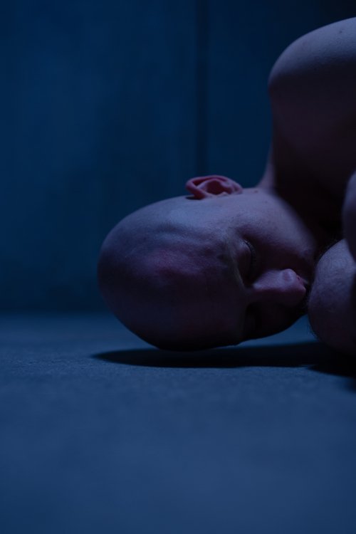 Incarnation (2023) poster