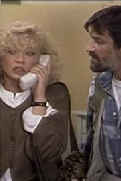 Duel for Three (1996) poster