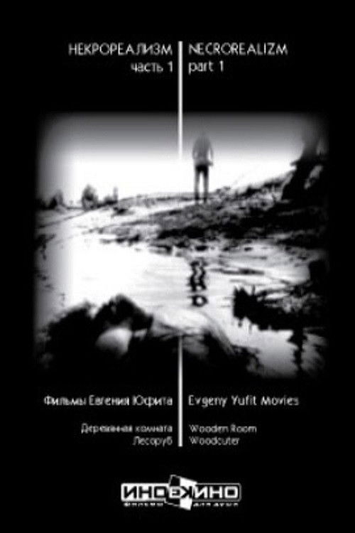 The Wooden Room (1995) poster