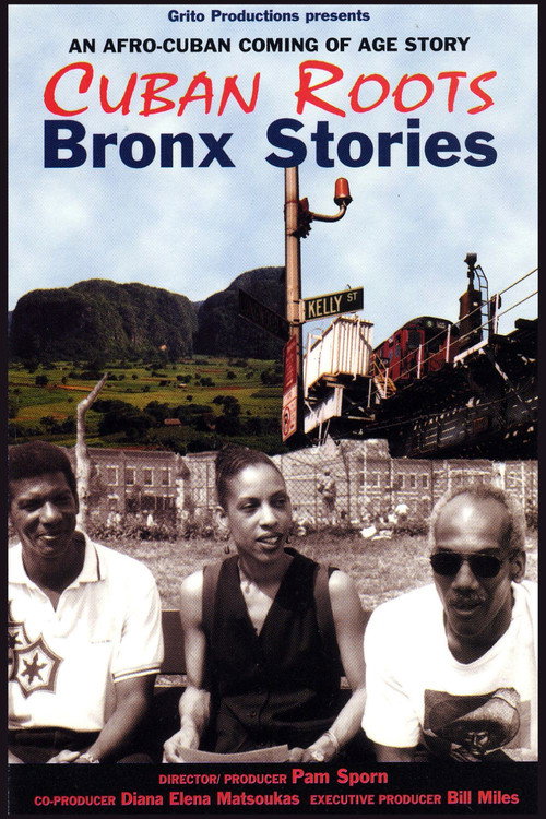 Cuban Roots/Bronx Stories (2000) poster