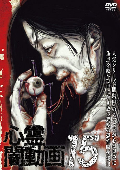 Psychic Darkness Video 15 (2016) poster