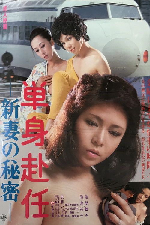 Tanshin funin: Niizuma no himitsu (1980) poster