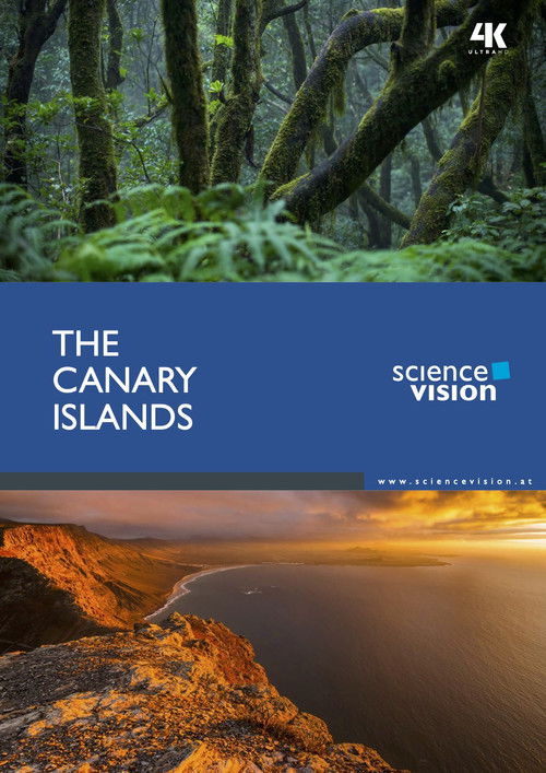The Canary Islands (2016) poster