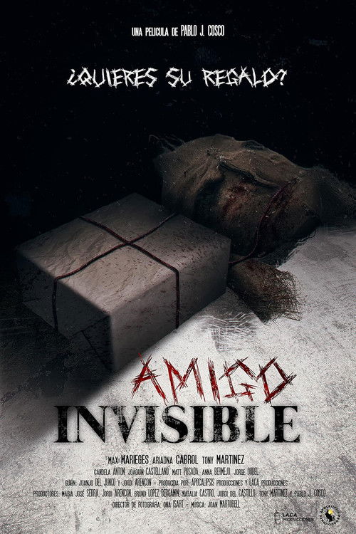 Invisible Friend (2024) poster