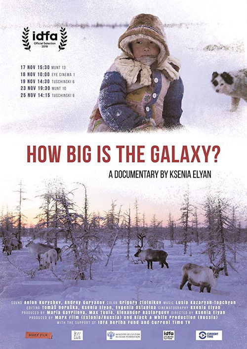 How Big Is the Galaxy? (2018) poster