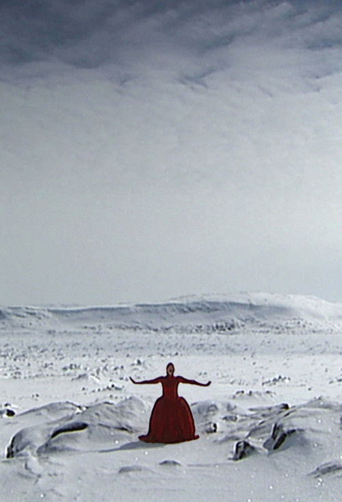 Invisible (2007) poster