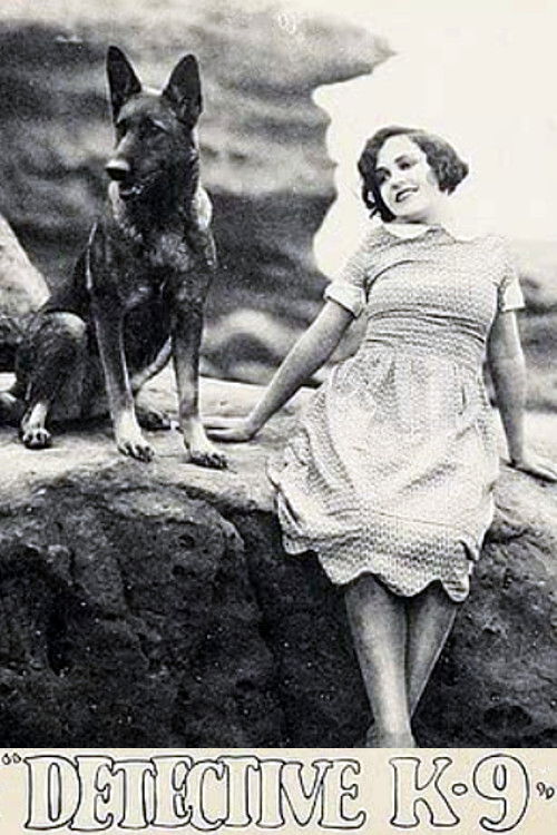 Detective K-9 (1926) poster