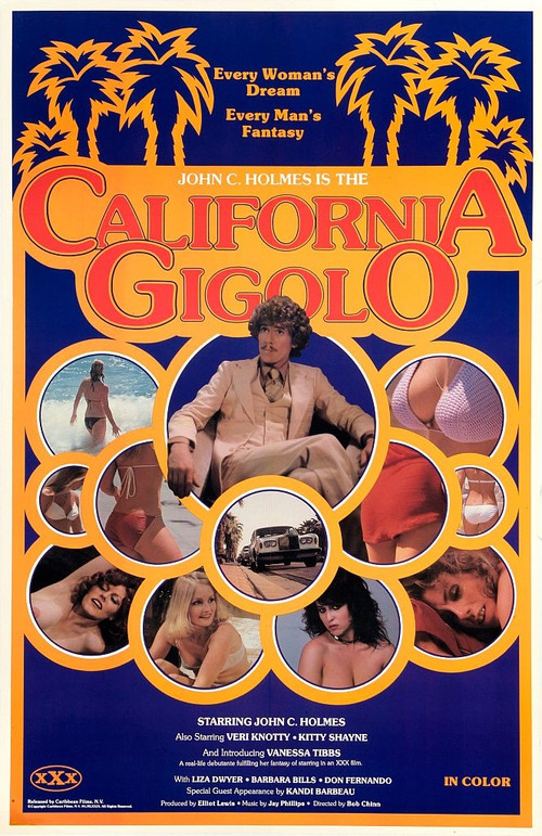 California Gigolo (1979) poster