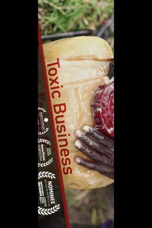 Toxic Business (2020) poster