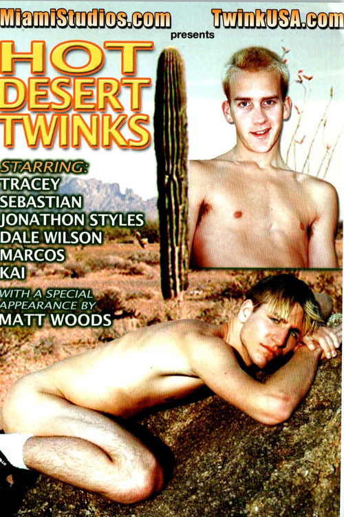 Hot Desert Twinks (2004) poster