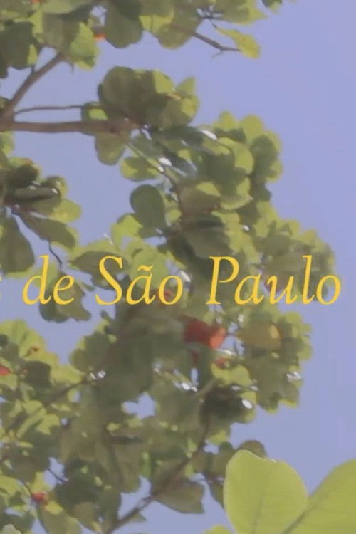 News from São Paulo (2019) poster