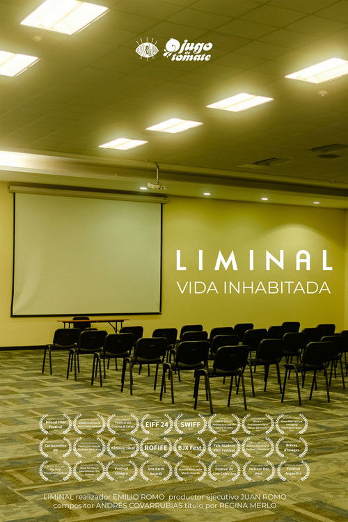 LIMINAL (2021) poster