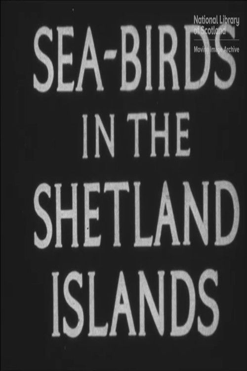 Seabirds in the Shetland Islands (1932) poster