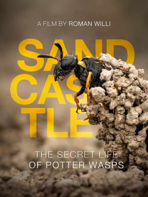 Sandcastle - The Secret Life Of Potter Wasps (2025) poster