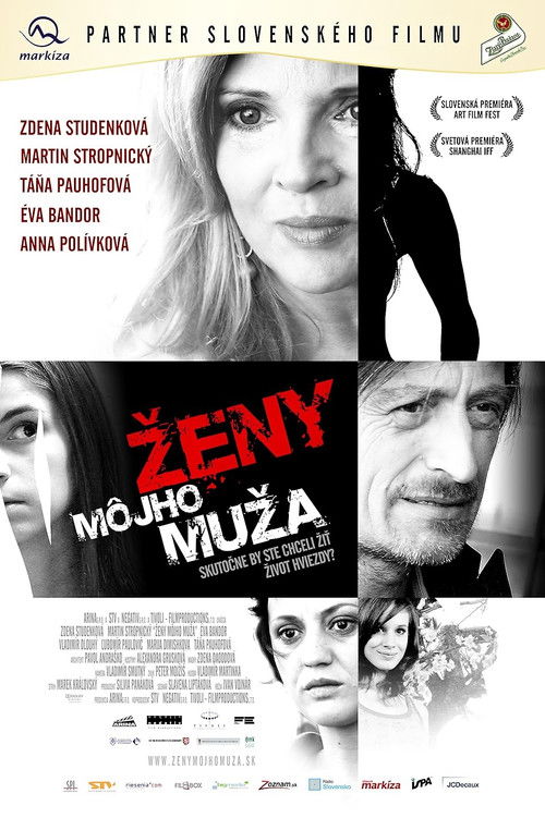 Ženy môjho muža (2009) poster