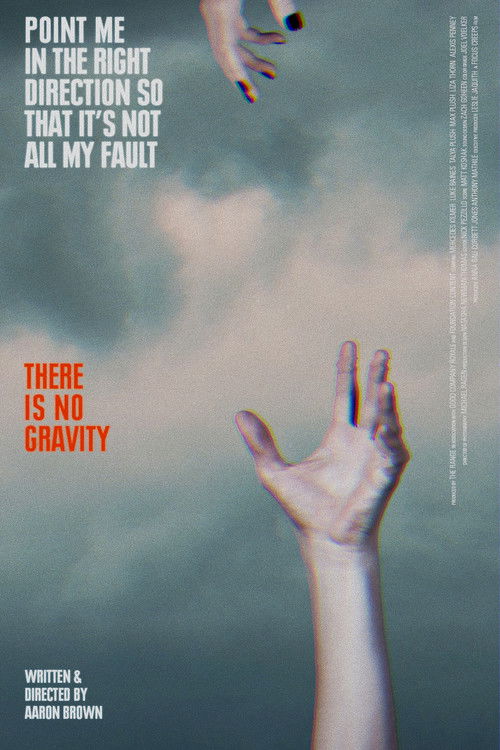 There Is No Gravity (2015) poster