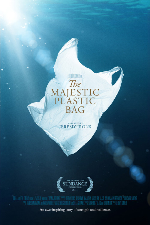 The Majestic Plastic Bag (2010) poster