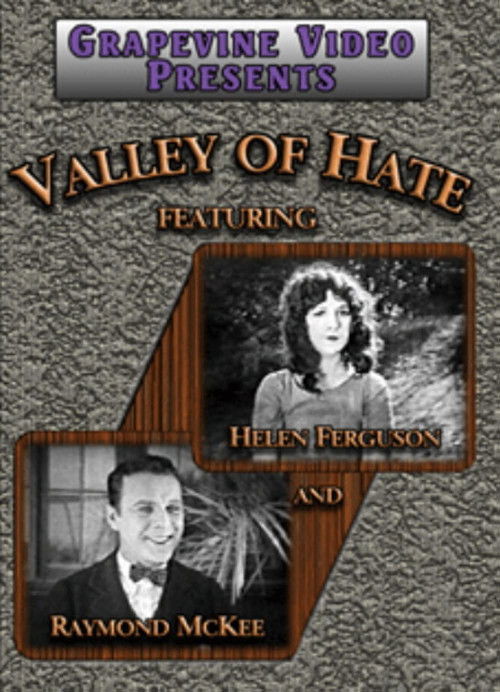 The Valley of Hate (1924) poster