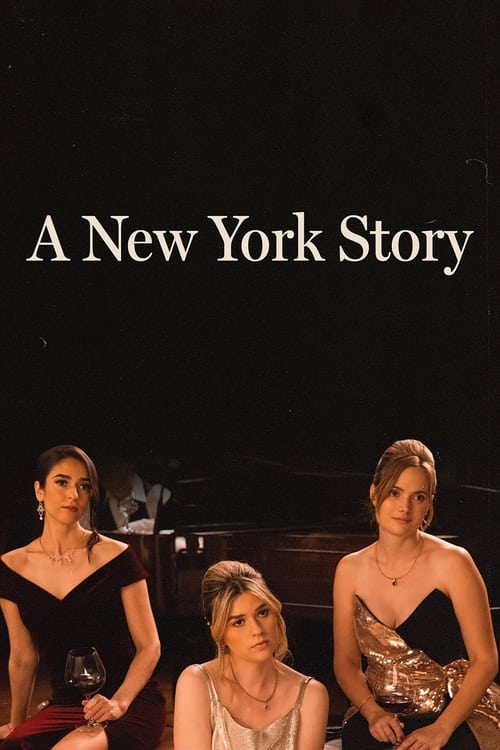 A New York Story (2024) poster