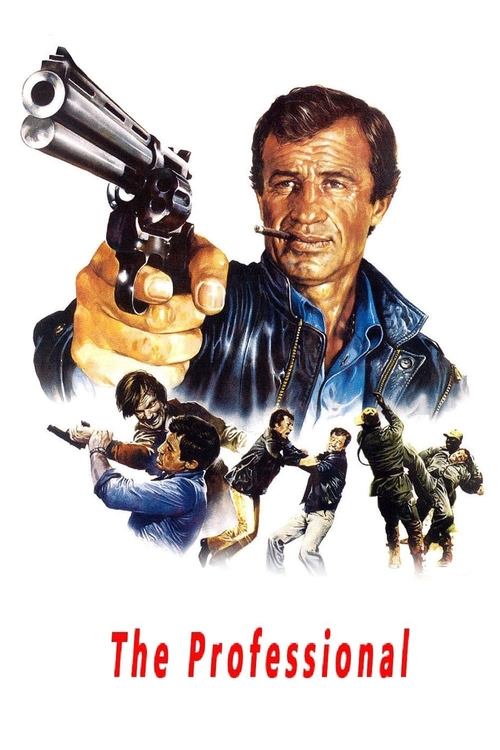 Profesyonel (1981) poster