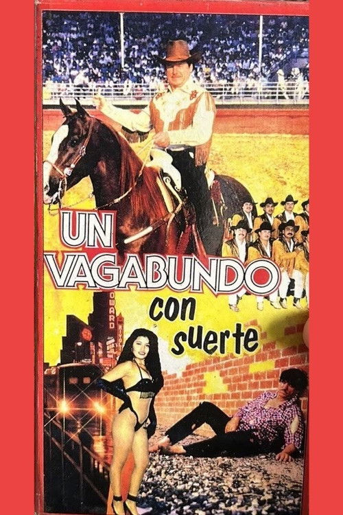 El Vagabundo Con Suerte (1994) poster