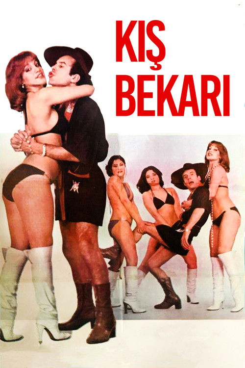Kış Bekarı (1979) poster