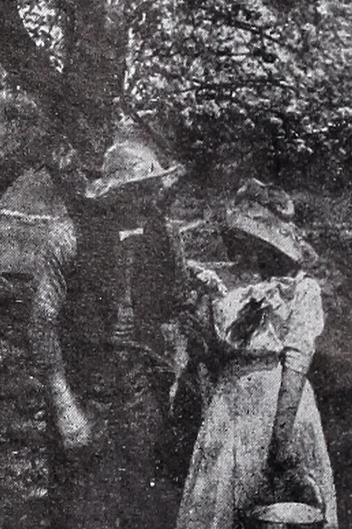 In the Season of Buds (1910) poster