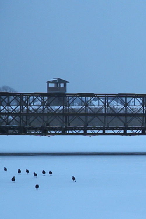 Ejercicio 3: Documental (2013) poster