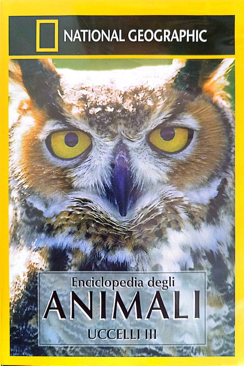 Owls: Silent Hunters (2001) poster