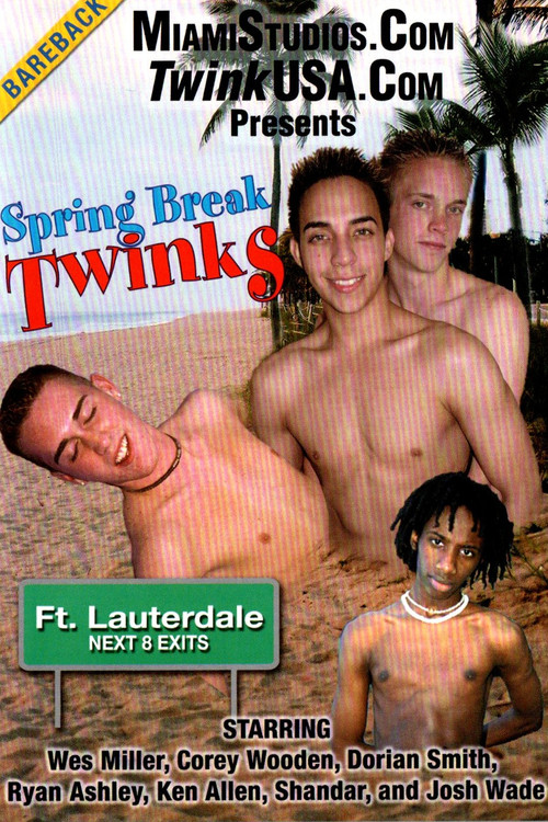 Spring Break Twinks (2003) poster
