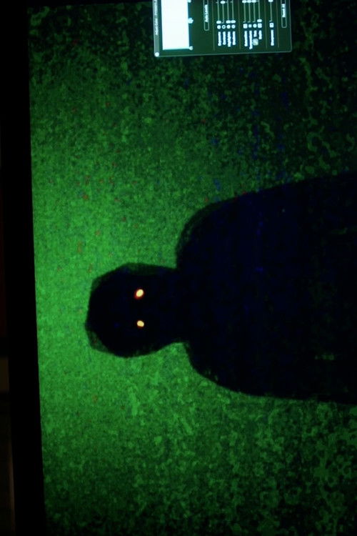 Dektol (2024) poster