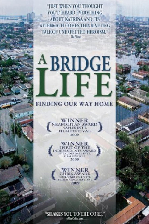 A Bridge Life: Finding Our Way Home (2009) poster