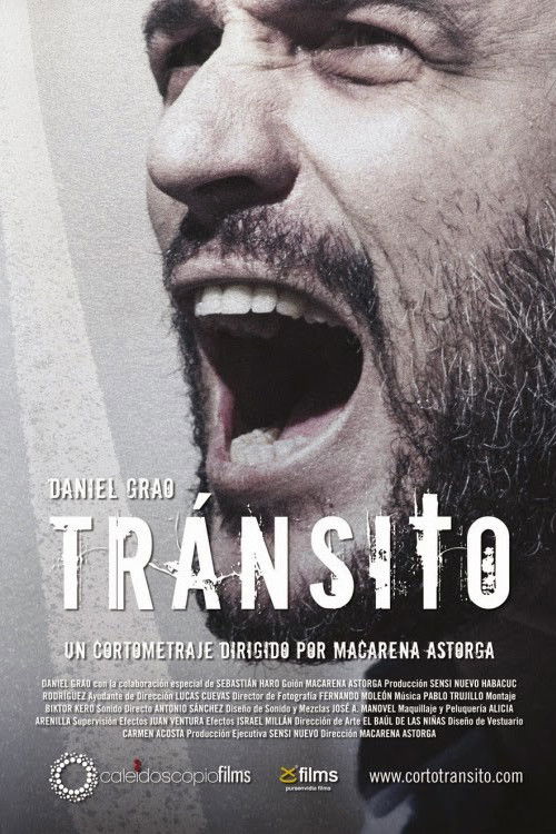 Tránsito (2013) poster