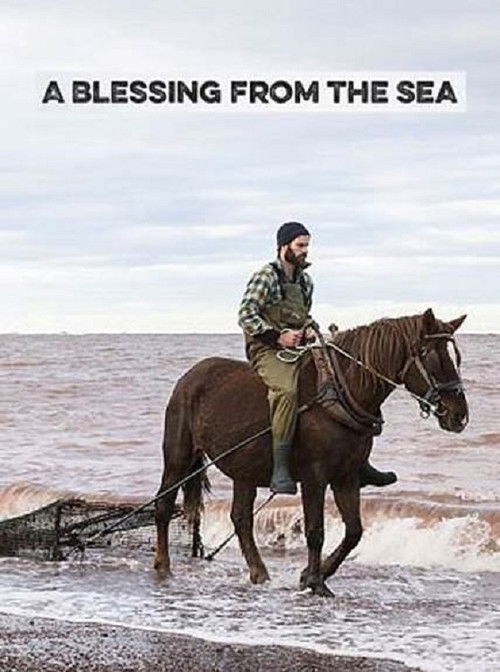 A Blessing from the Sea (2017) poster