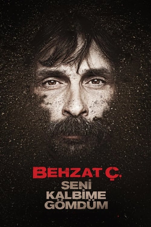 Behzat Ç.: Seni Kalbime Gömdüm (2011) poster